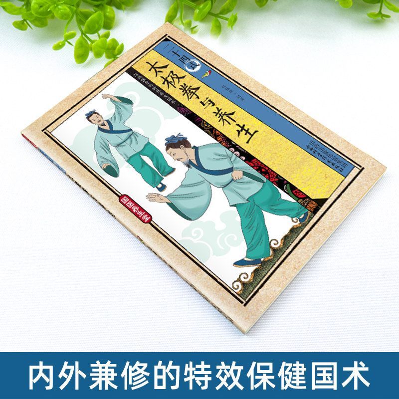 24種類の太極拳と健康体操の図解アクションテクニック Lib - Health & Wellness Lafayette Reviews のレビューと価格