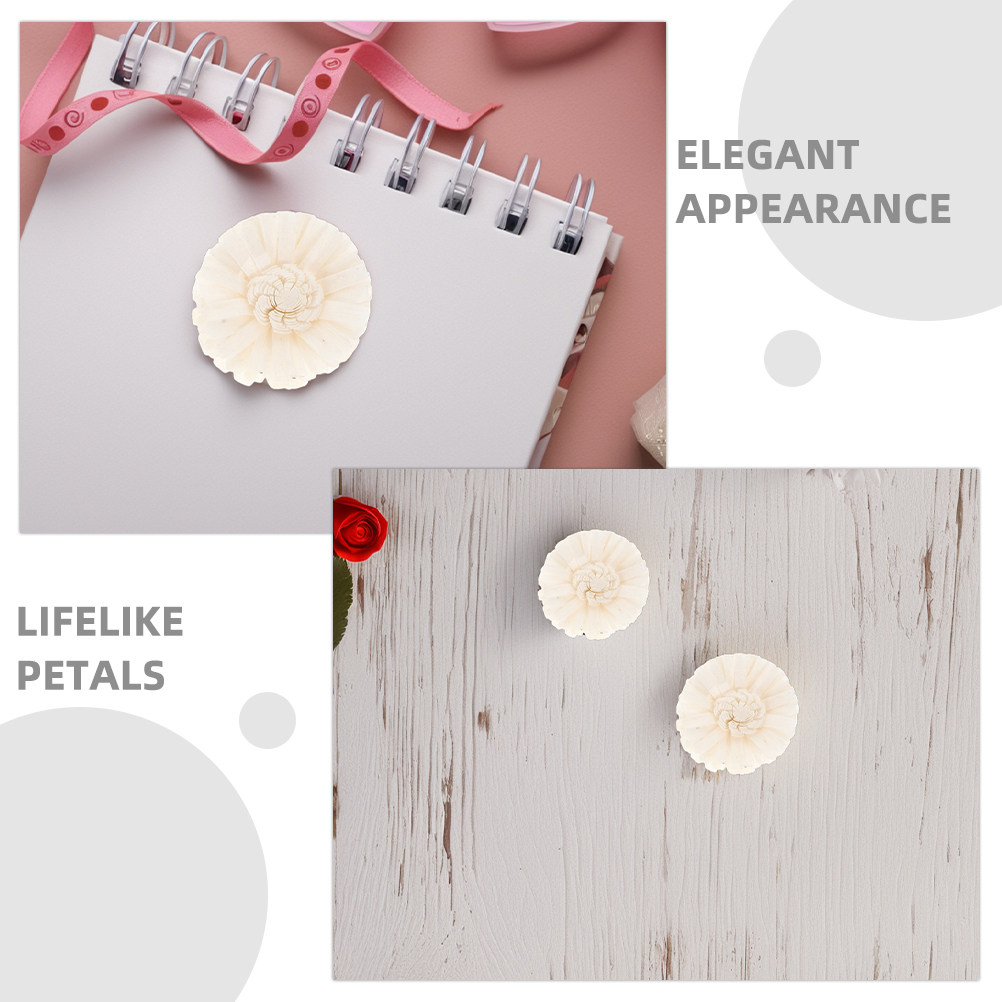8本入りフローラルディフューザー ソラ菊 人工花 装飾用アロ - Aromatherapy Diffuser のレビューと価格